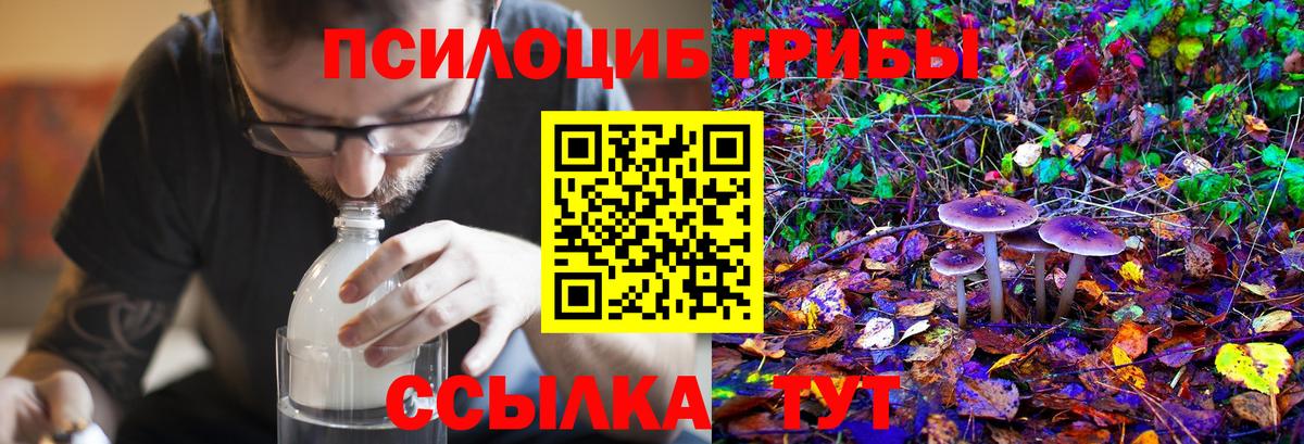 Галлюциногенные грибы мицелий Щёкино